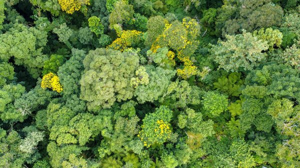 Tricher au Scrabble : conseils pratiques pour impressionner vos adversaires dans ce jeu